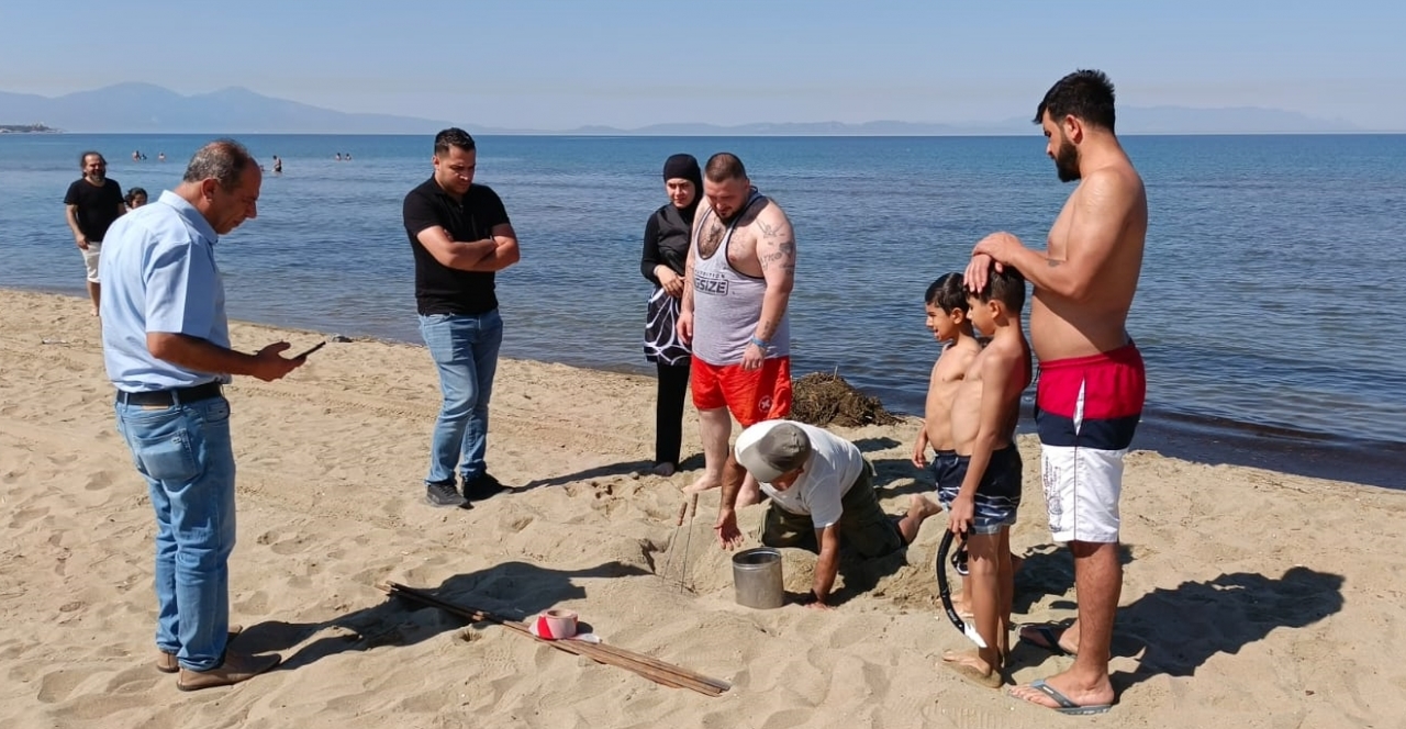 İzmir'de 57 caretta caretta yumurtası koruma altına alındı