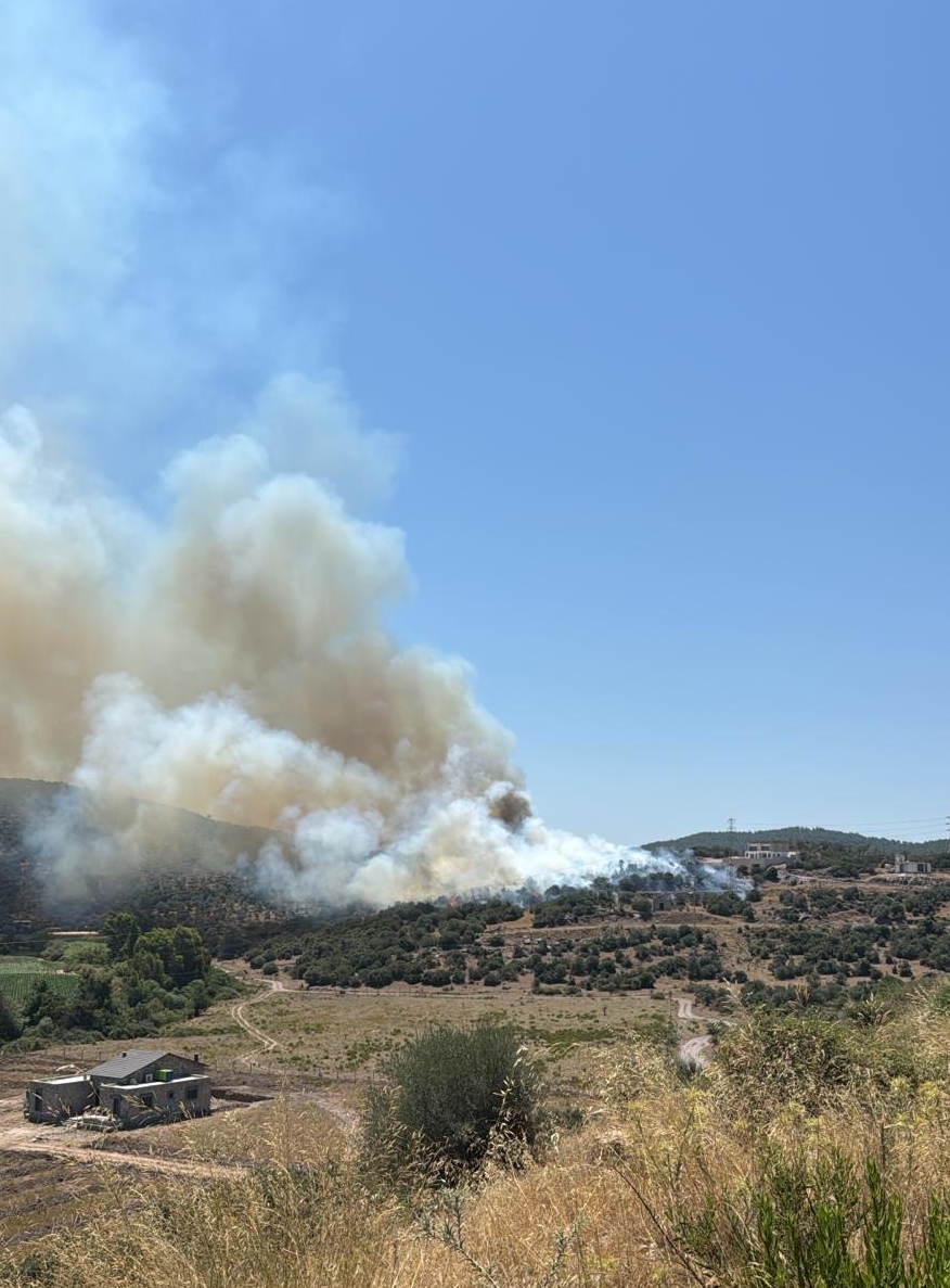 Milas'ta ziraat alanında çıkan yangın söndürüldü