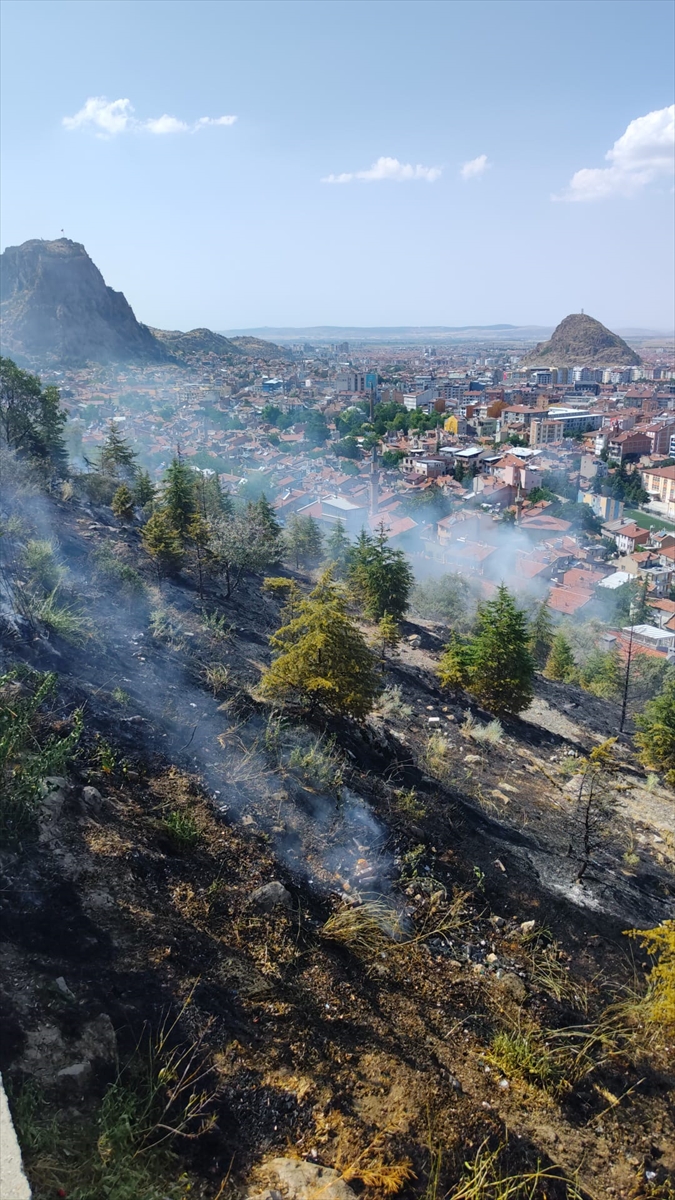Afyonkarahisar'da ağaçlık alanda çıkan yangın söndürüldü