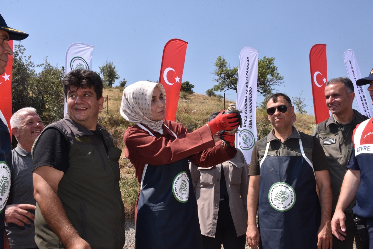 Afyonkarahisar'da 1000 kınalı keklik doğaya bırakıldı