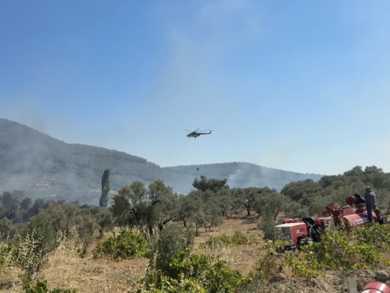 İzmir'de zirai alanda çıkan yangın kontrol altına alındı