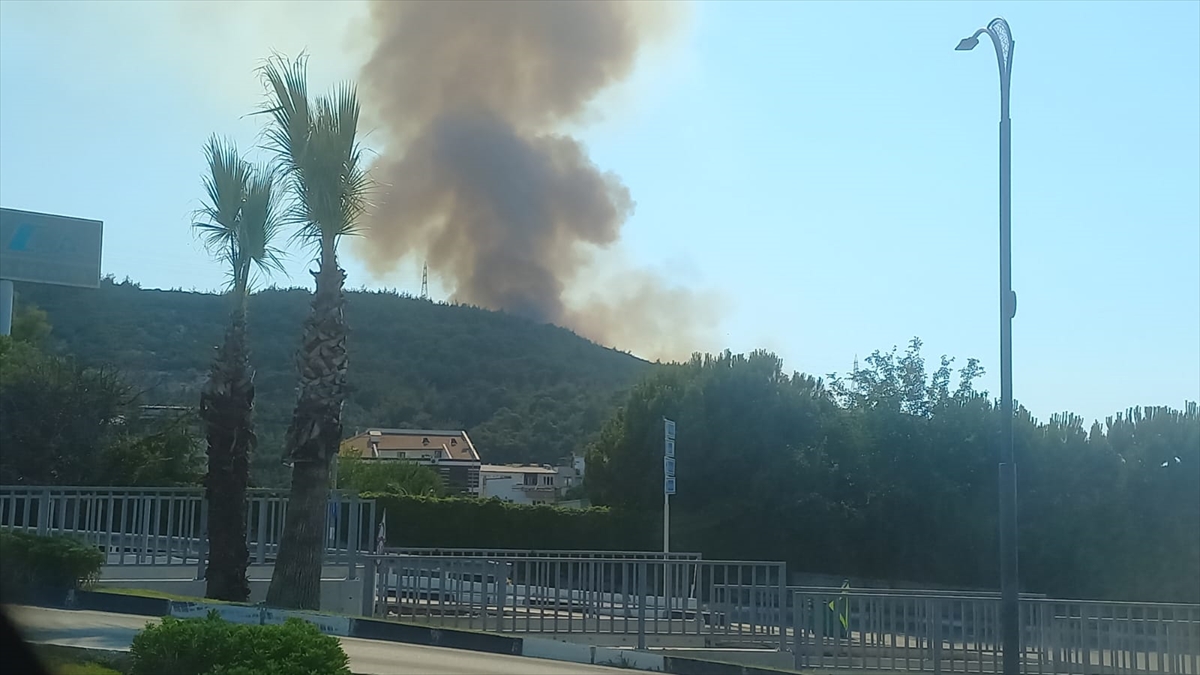 Manisa'da orman yangını çıktı