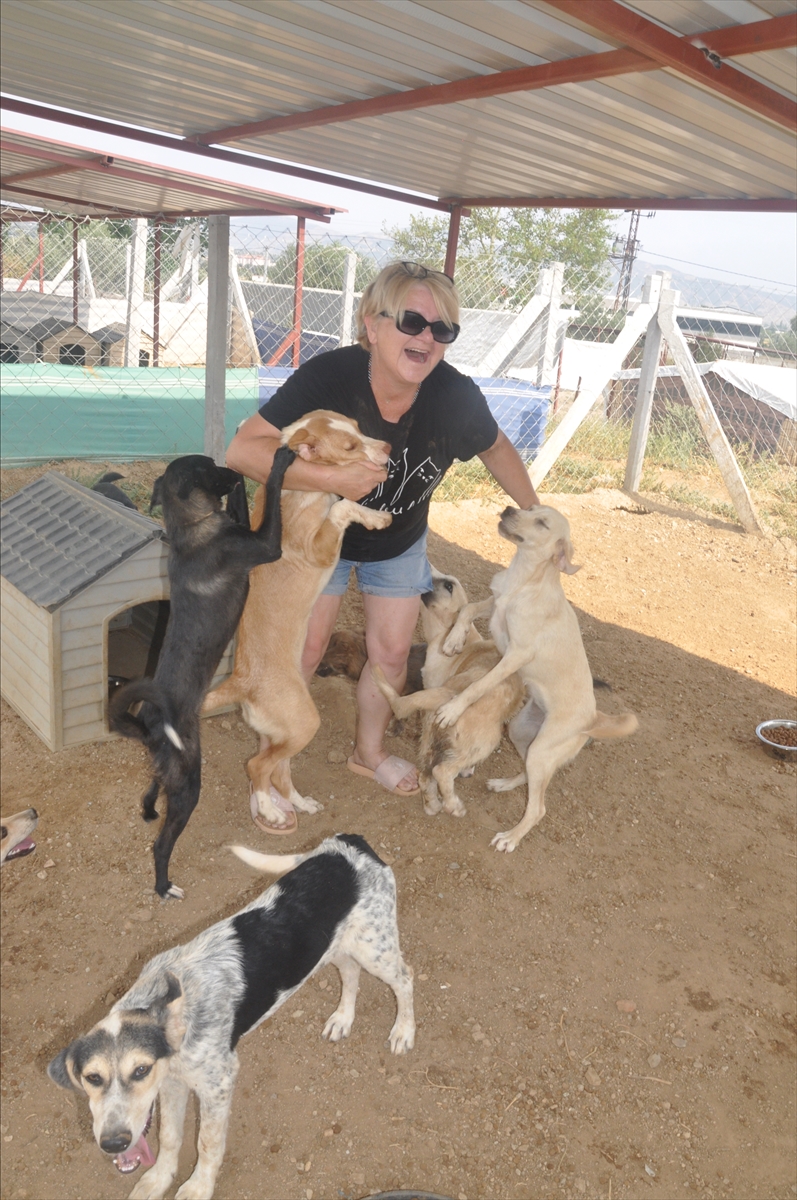 Orman yangınlarından kurtarılan köpeklere Ödemiş'te bakılıyor