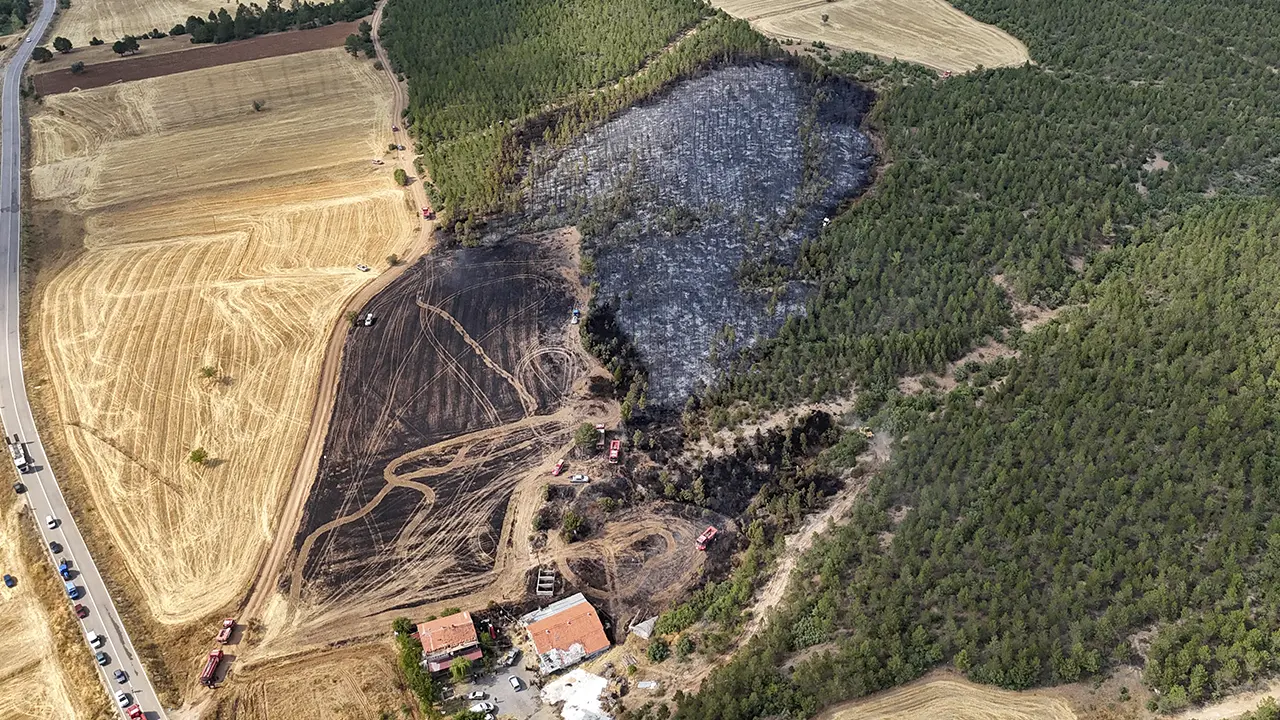 Banazda anızdan başlayıp ormanlık alana sıçrayan yangın söndürüldü