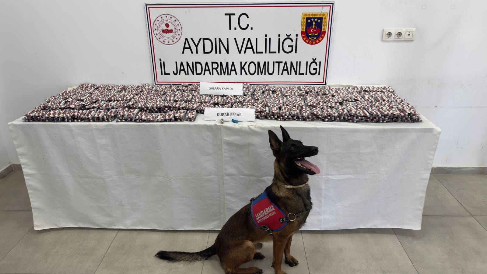 Aydın'da uyuşturucuyla yakalanan 3 şüpheli tutuklandı
