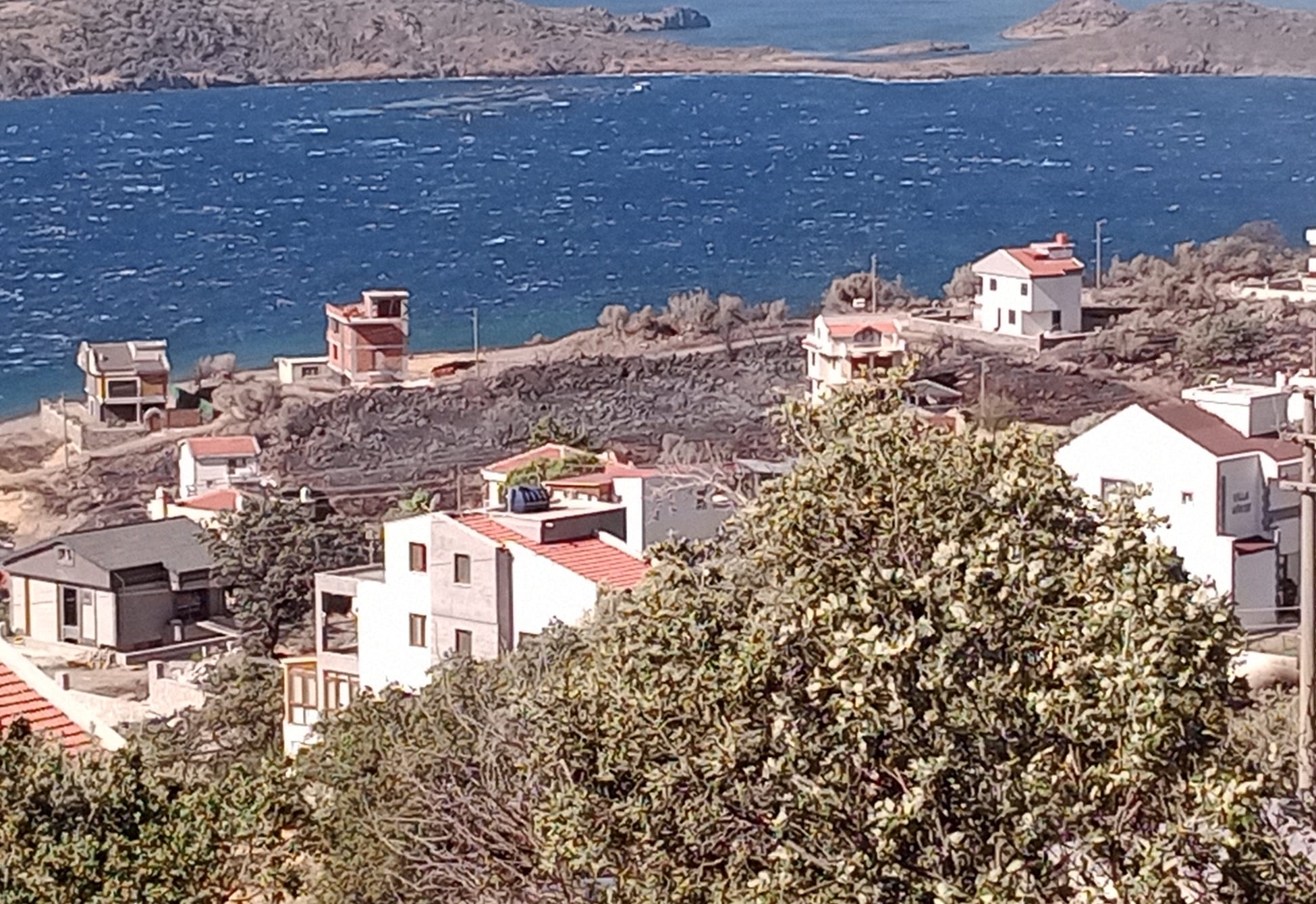 İzmir Dikili'de sitede çıkarak makilik alana sıçrayan yangına müdahale ediliyor
