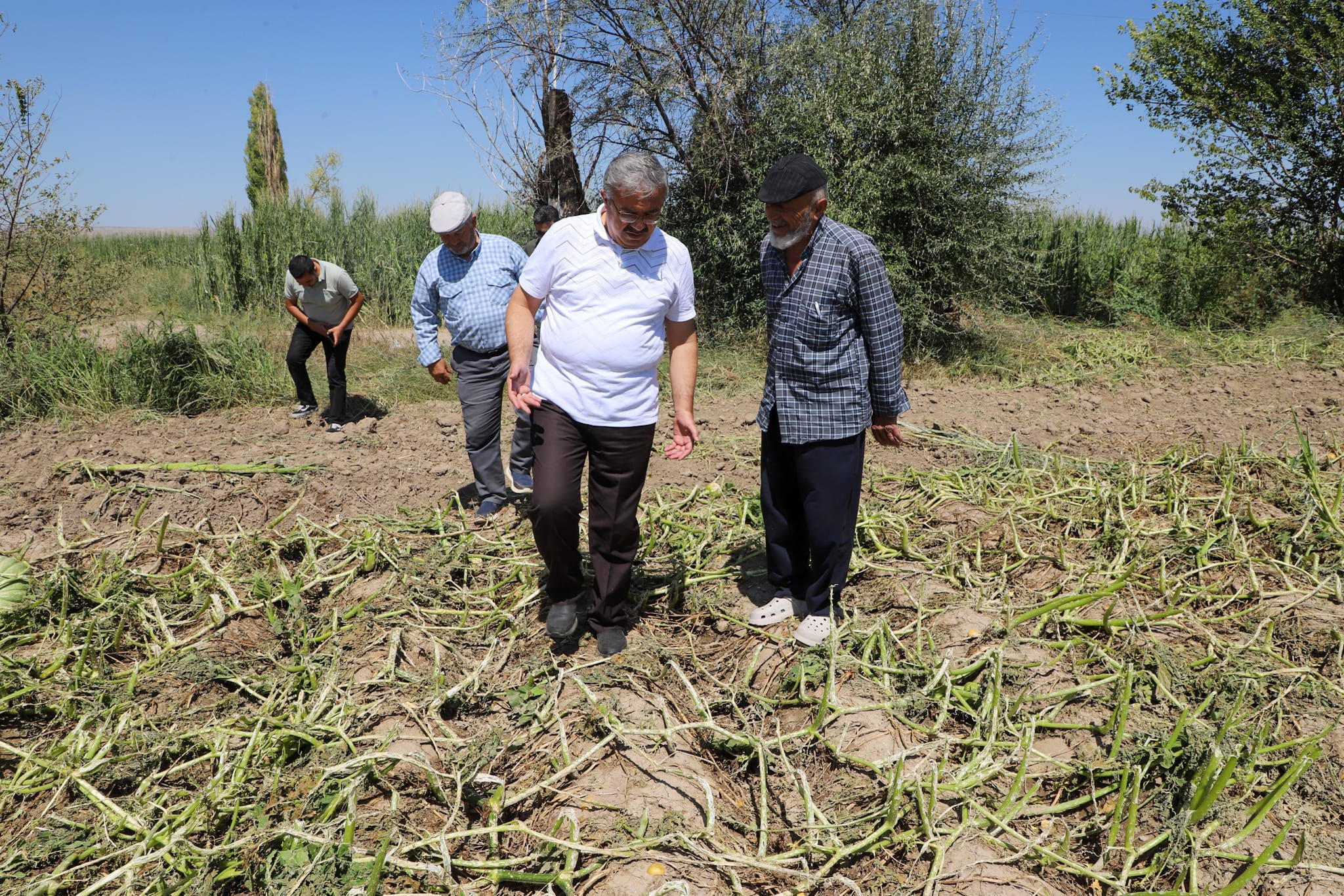 Afyonkarahisar'da doludan etkilenen tarım arazilerinde inceleme yapıldı