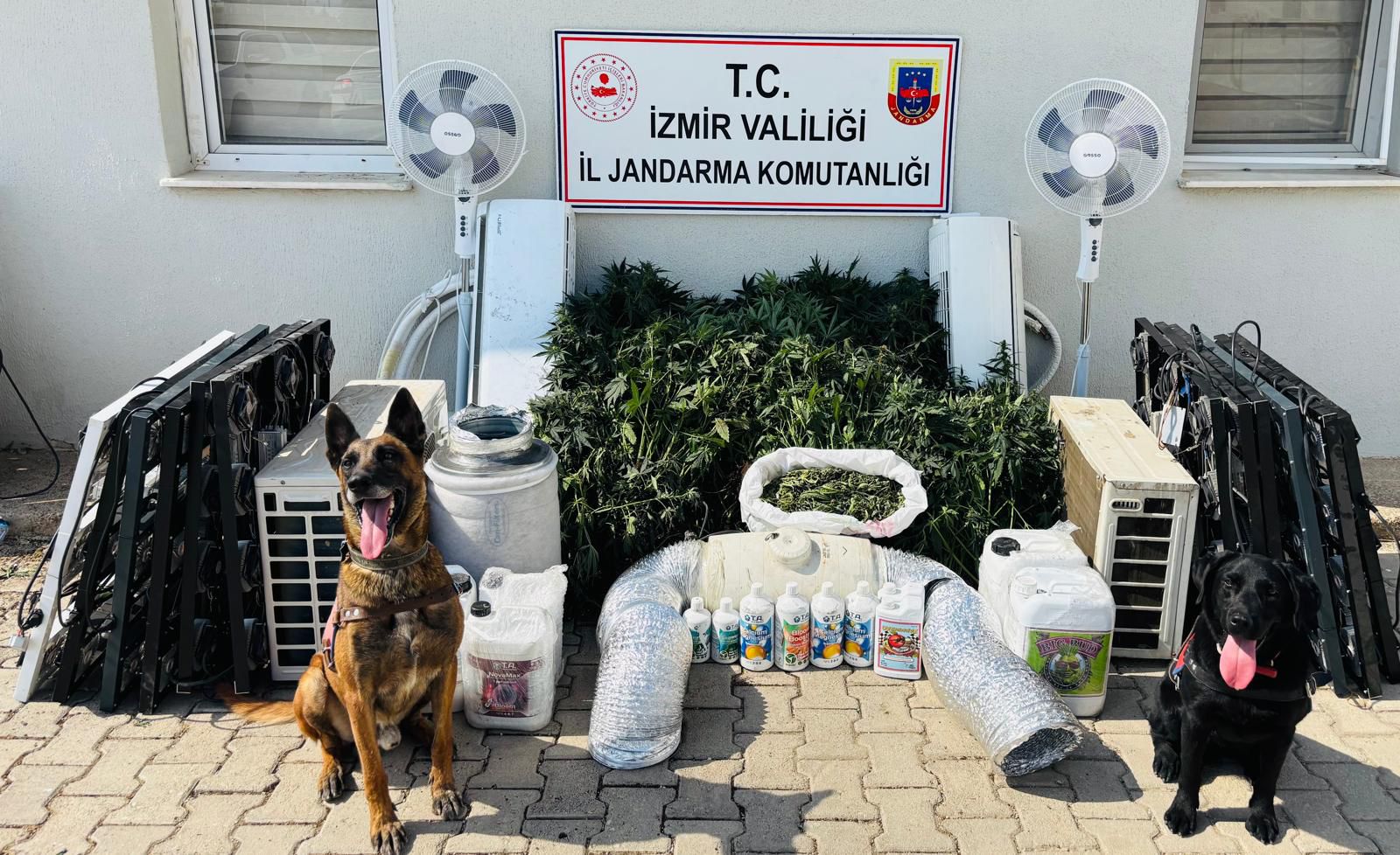 İzmir'de uyuşturucu ticareti yaptığı öne sürülen şüpheli yakalandı