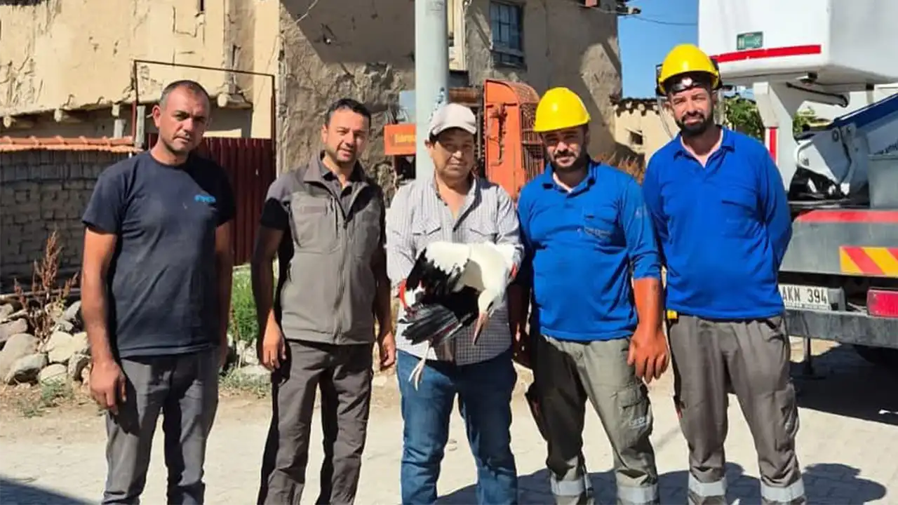 Afyonkarahisar'da ayağına ip dolanan leylek yaralandı