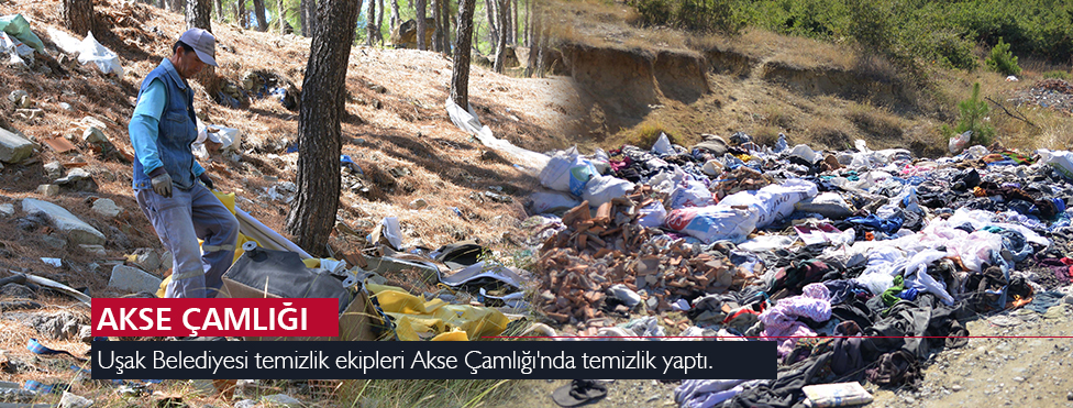 AKSE ÇAMLIĞINDA TEMİZLİK YAPILDI