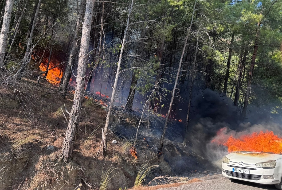 Muğla'da otomobilde çıkan ve ormana sıçrayan yangın söndürüldü