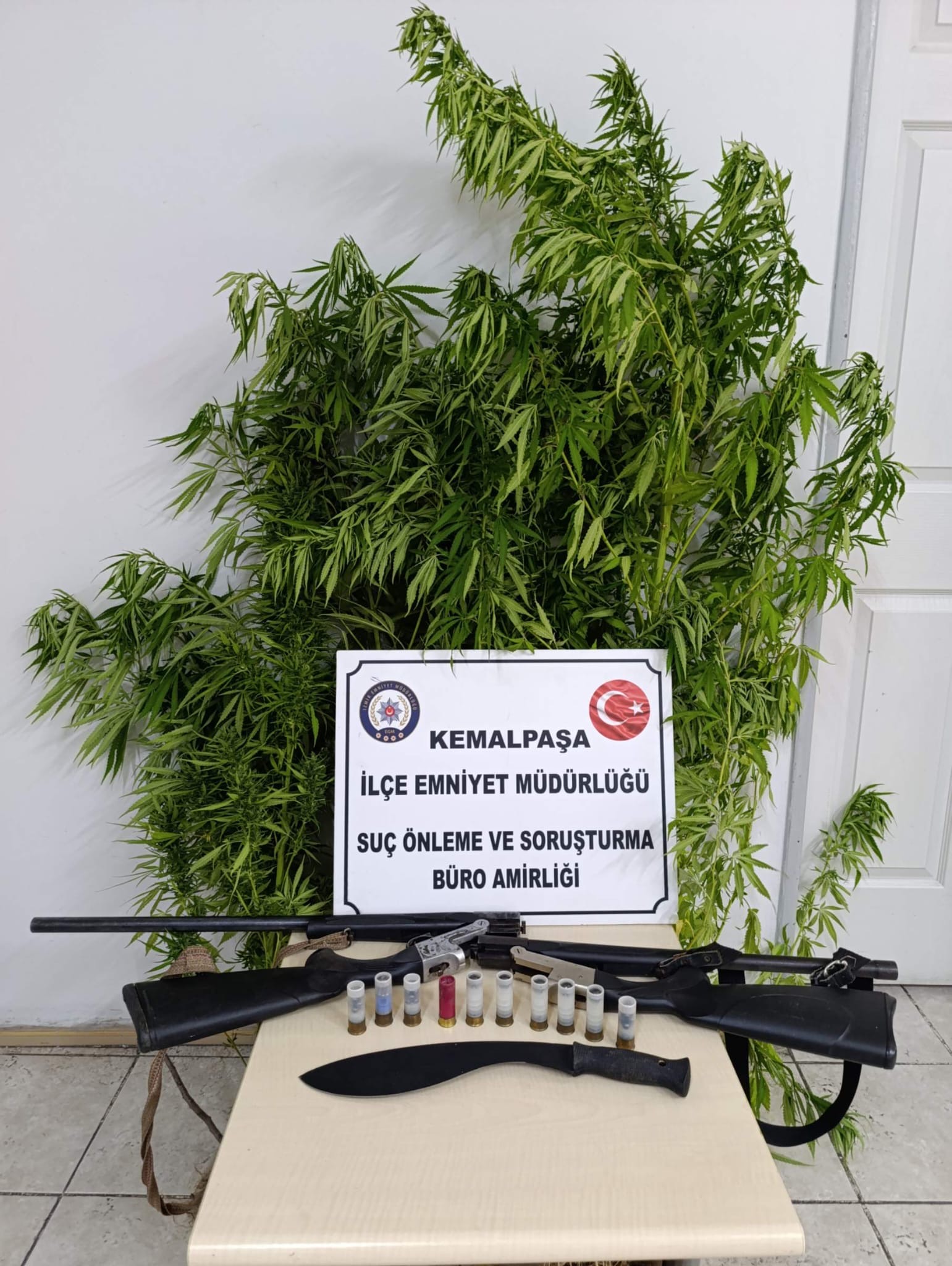 Kemalpaşa'da bahçesinde Hint keneviri yetiştiren şüpheli yakalandı