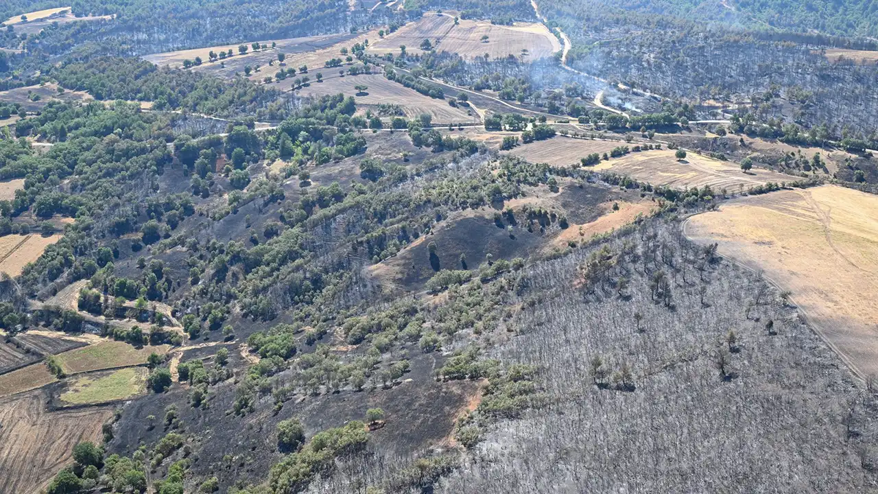 Manisa'da 80 orman yangınında 61'i büyümeden söndürüldü