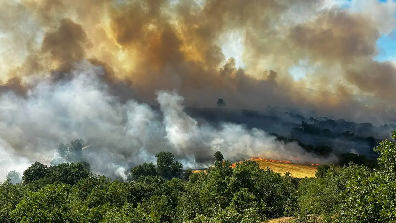Muğla'da çıkan orman yangınına müdahale ediliyor