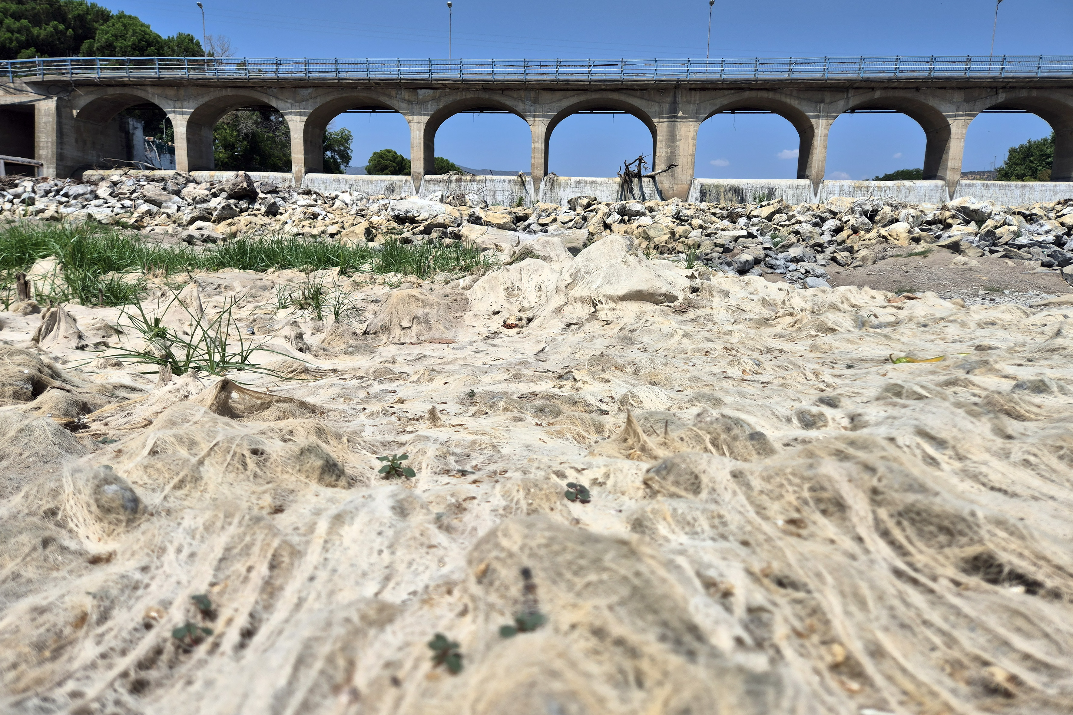 Kuraklığın etkisiyle Gediz Nehri'nin bazı bölümleri kurudu