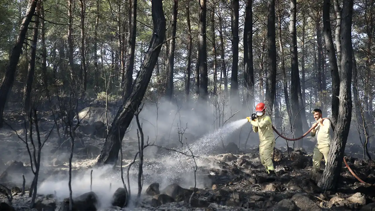 Muğla'da çıkan orman yangını kontrol altına alındı