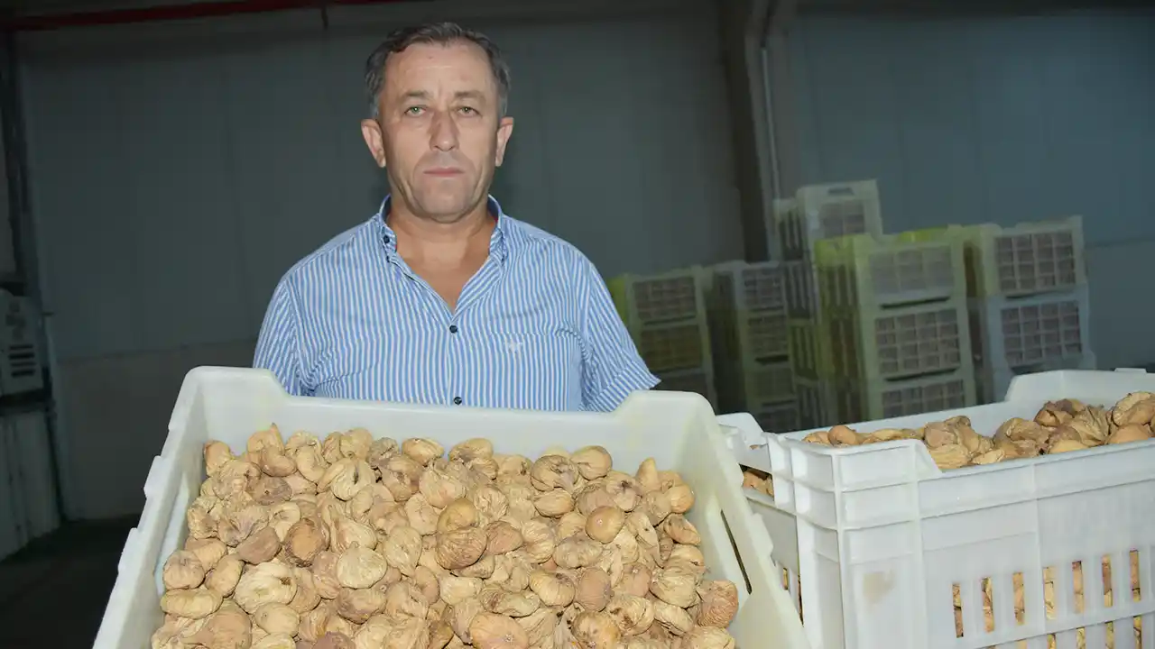 Tariş, kuru incir alım fiyatlarını açıkladı