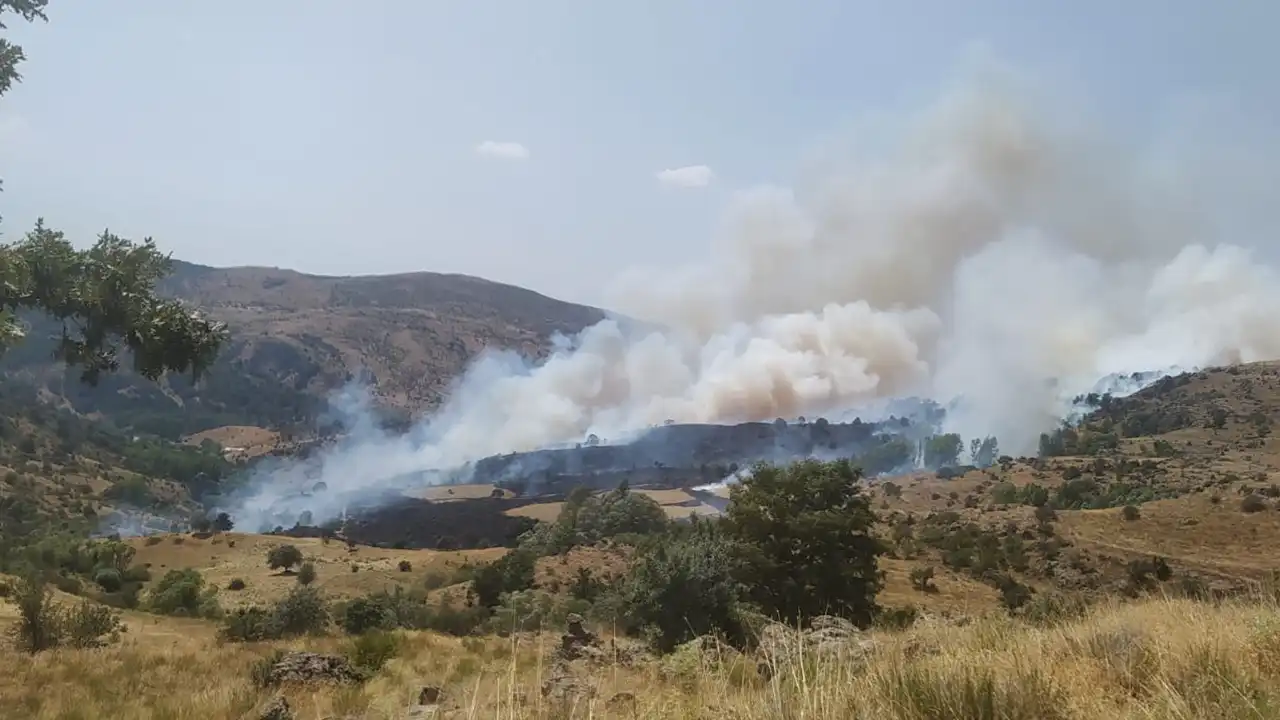 Aydın'ın Kuyucak ilçesinde makilikte çıkan yangın kontrol altına alındı