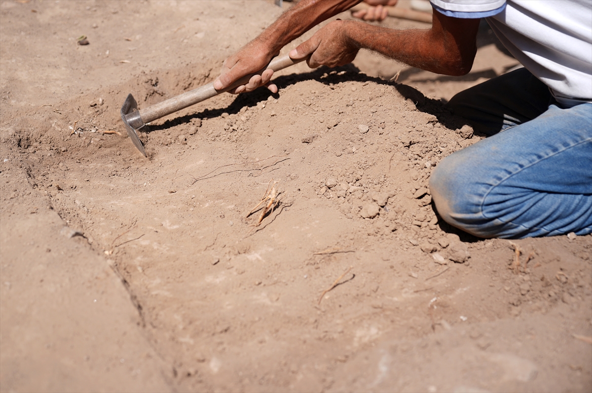 İzmir'deki 5 bin yıllık Smyrna Höyüğü'nde arkeolojik kazılar sürüyor