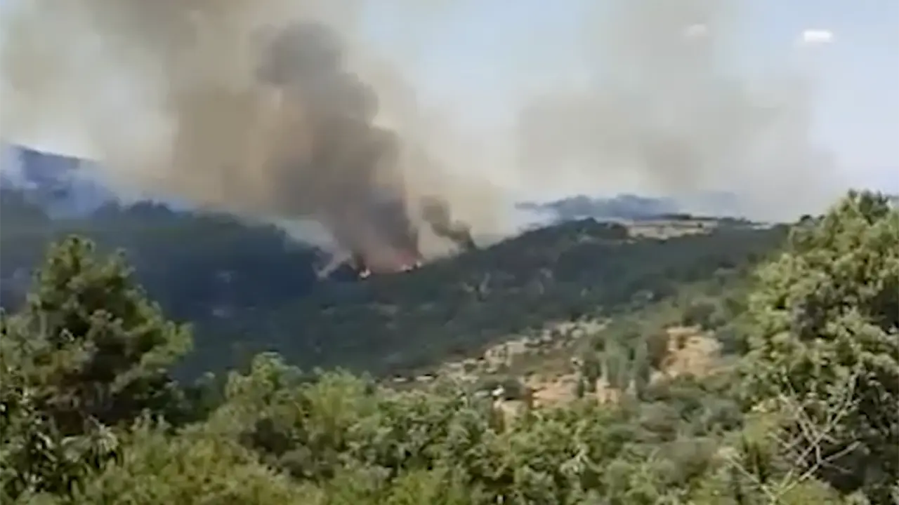 Fethiye'de makilik alanda çıkan yangın söndürüldü