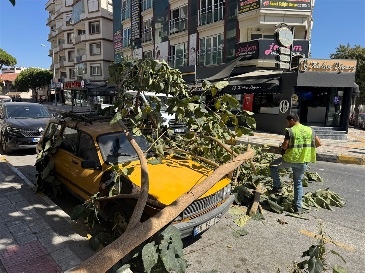 Aydın'da ağaç dalının otomobilin üzerine düşmesi güvenlik kamerasında