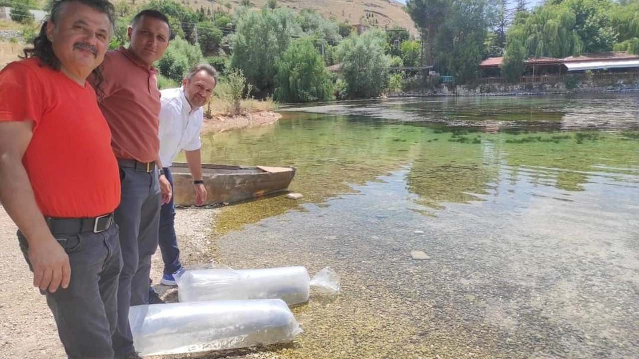 Muğla'da 160 bin balık yavrusu denize bırakıldı