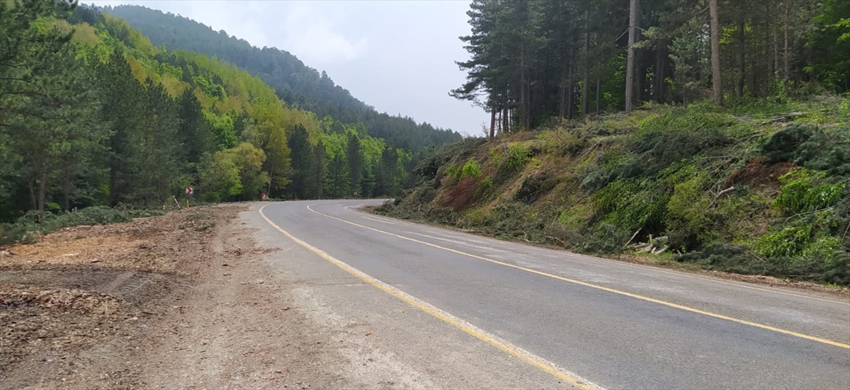 Kütahya'da orman yangınlarıyla mücadelede olumlu sonuçlar alınıyor