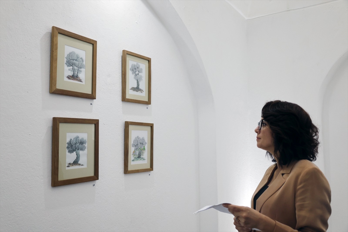 Muğla'da 'Eylül Işığı' resim sergisi açıldı