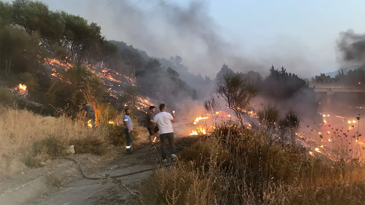 İzmir'de anızda çıkıp ağaçlık alana sıçrayan yangın söndürüldü