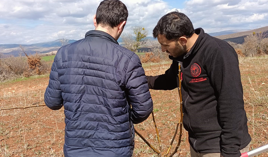 Uşak İl Tarım ve Orman Müdürlüğü'nden Köylerde Budama Eğitimi