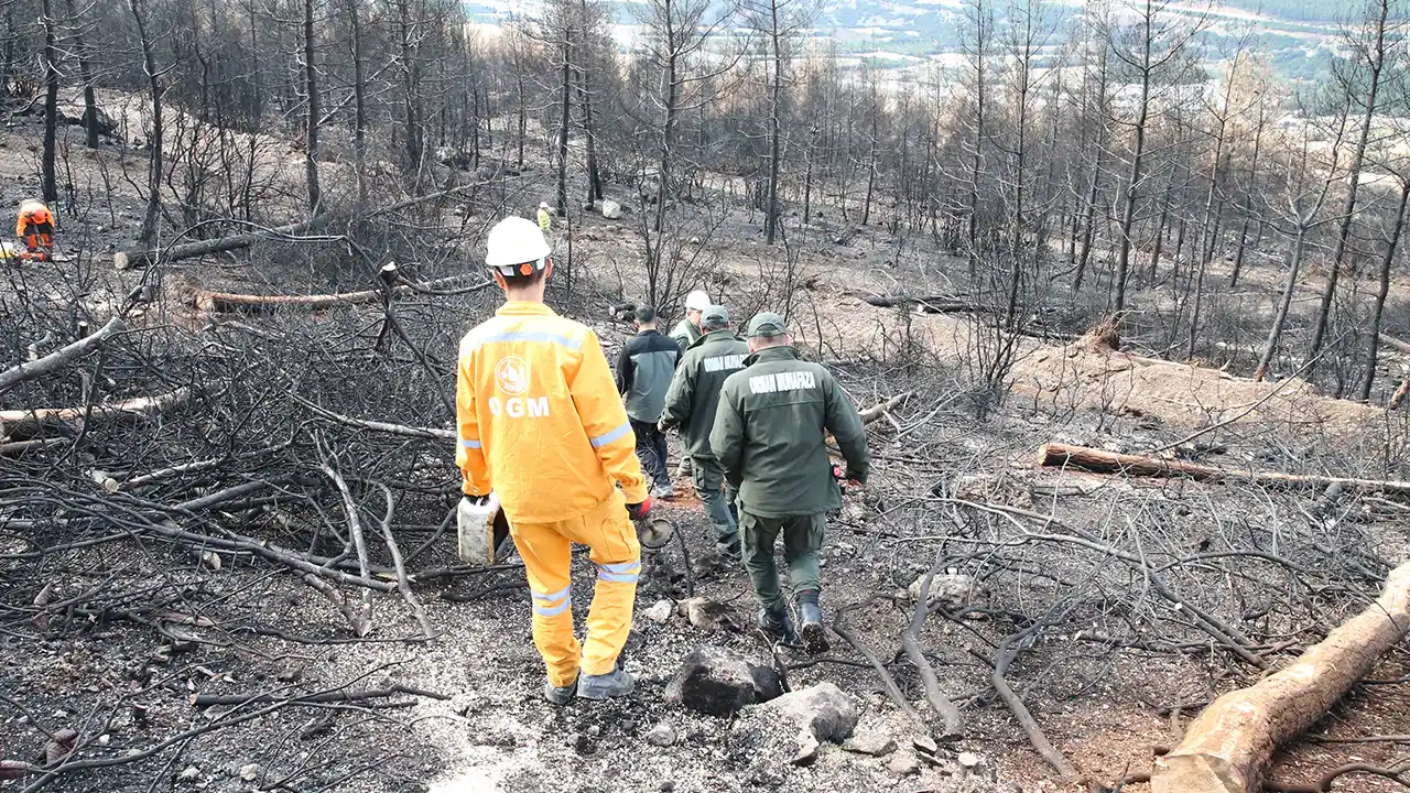 Uşak ve Denizli’de 306 Milyon Fidan Toprakla Buluştu