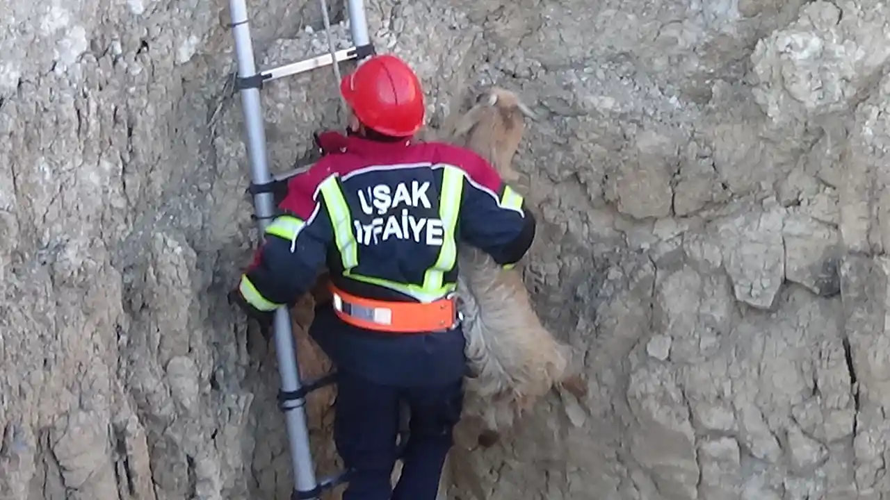 Uşak'ta Kuyuya Düşen Keçi Kurtarıldı