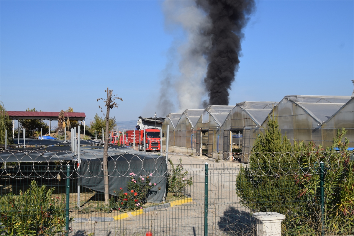 Manisa'da serada çıkan yangın söndürüldü