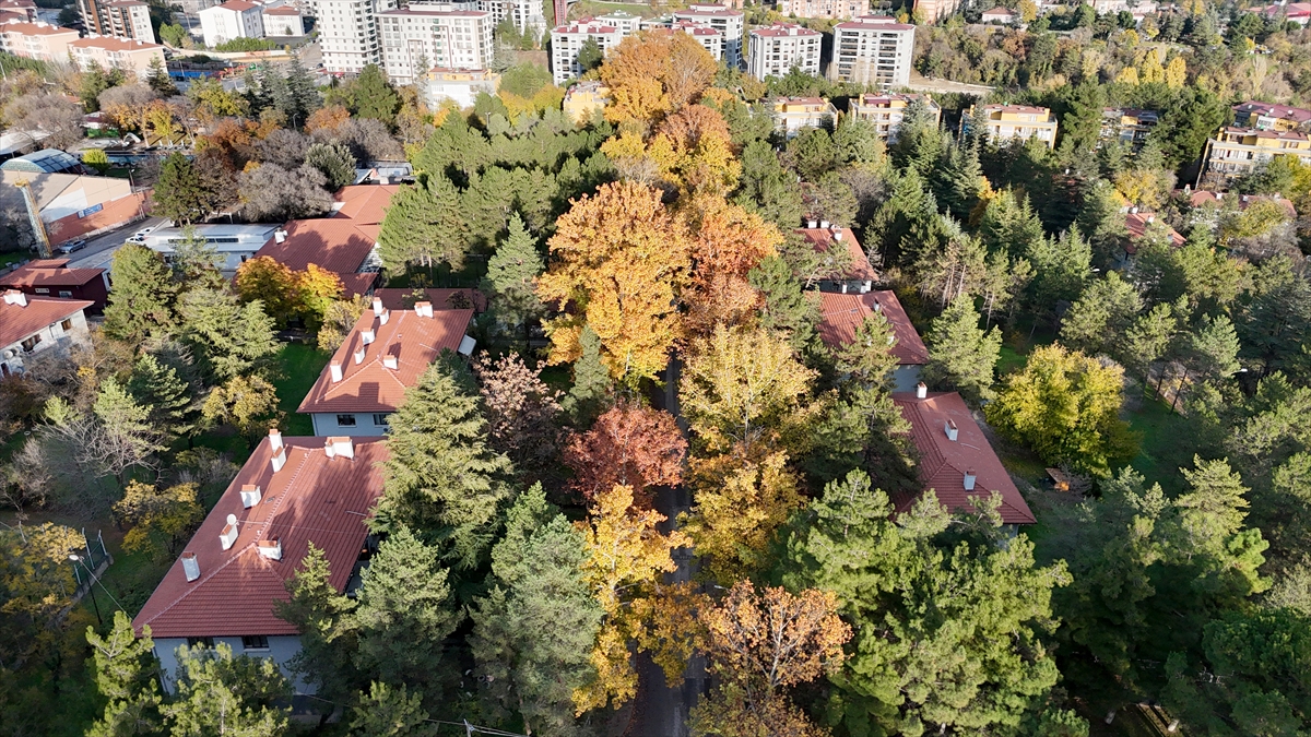 Karabük'te sonbahar