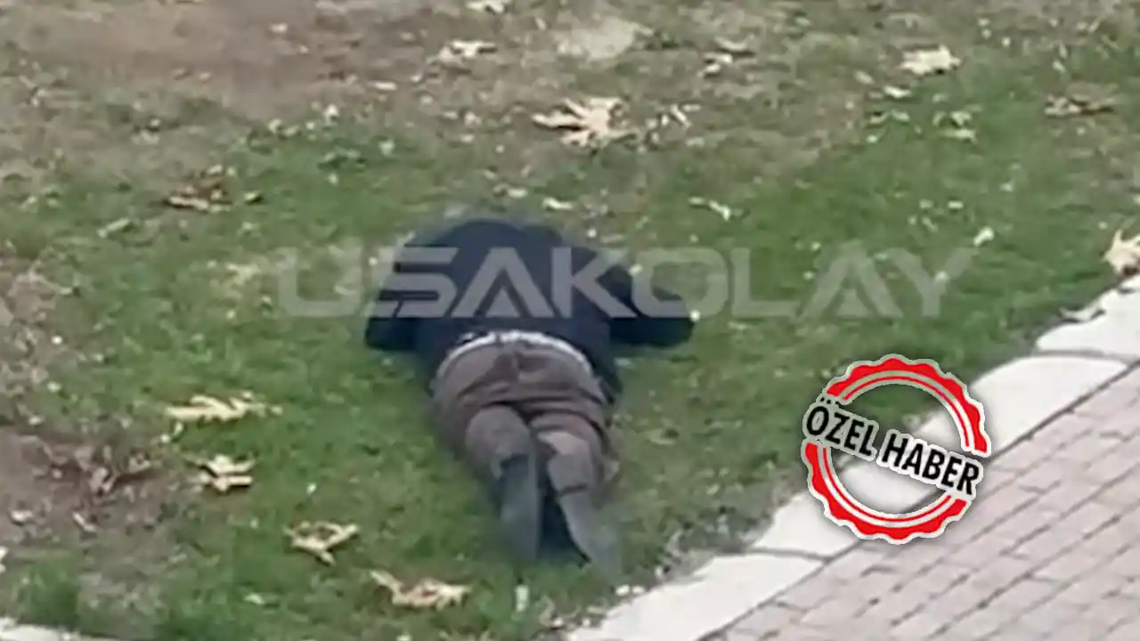 Park'ta Hareketsiz Yatan Kişi Alkollü Çıktı