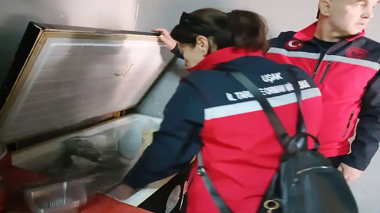 Uşak'ta 450 Kilo Tarihi Geçmiş Tavuk Ele Geçirildi