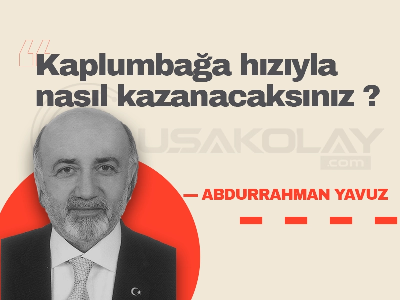 Kaplumbağa Hızıyla Nasıl Kazanacaksınız?