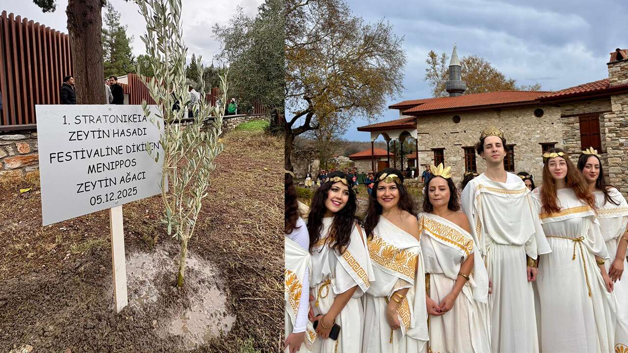 Stratonikeia antik kentinde zeytin hasadı festivali yapıldı
