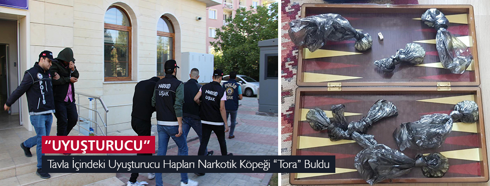 TAVLA İÇİNDEKİ UYUŞTURUCU HAPLARI NARKOTİK KÖPEĞİ 'TORA' BULDU