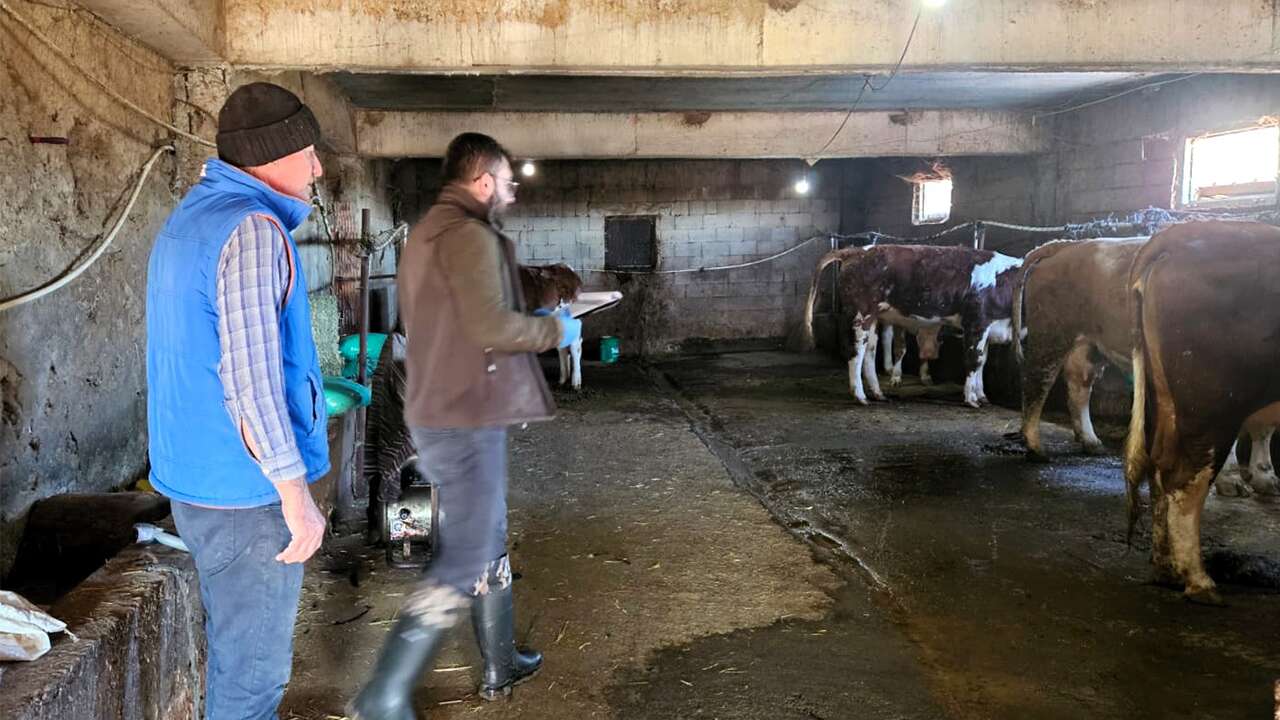 Banaz’da Şap Hastalığına Karşı Sıkı Denetim