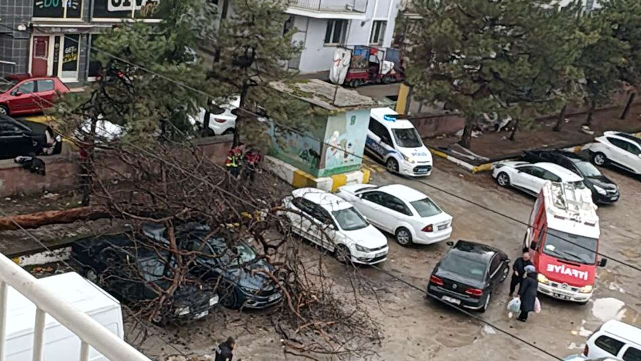 Uşak'ta etkili olan fırtına sonrası ağaç otomobilin üzerine devrildi