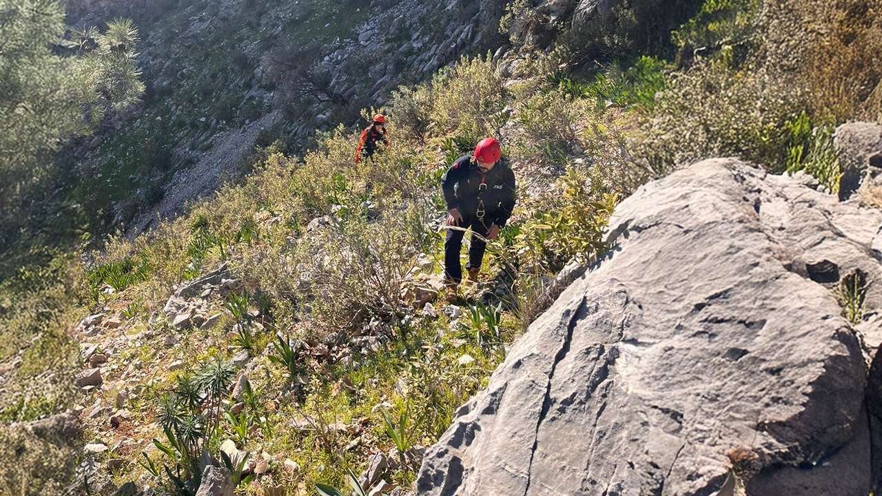 Muğla'da kayalıklarda mahsur kalan iki oğlağı AFAD ekibi kurtardı