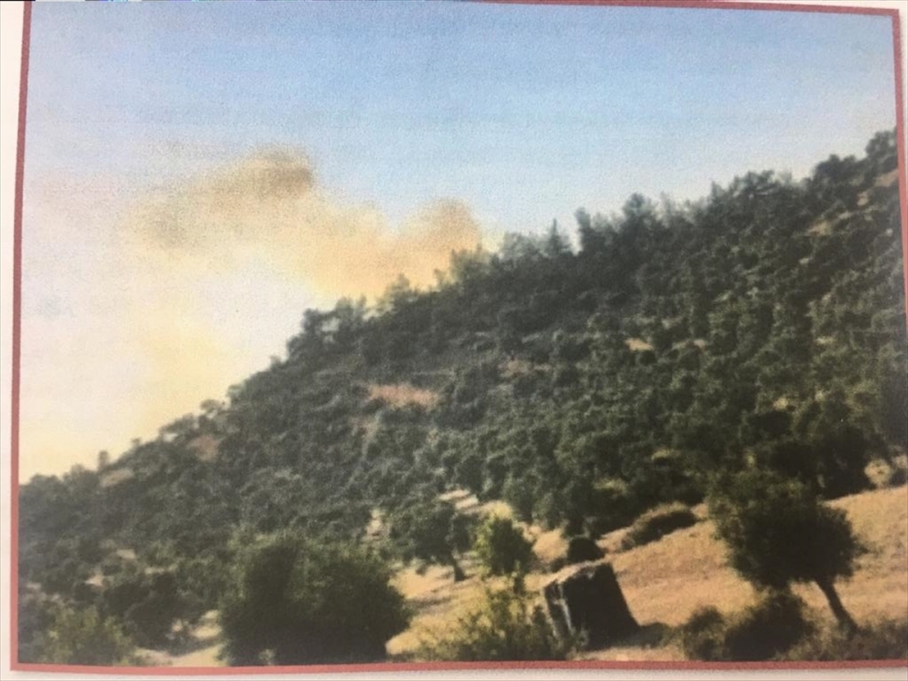 PKK'dan aldığı talimatla 2 yıl önce Bodrum'da orman yangını çıkaran zanlı tutuklandı
