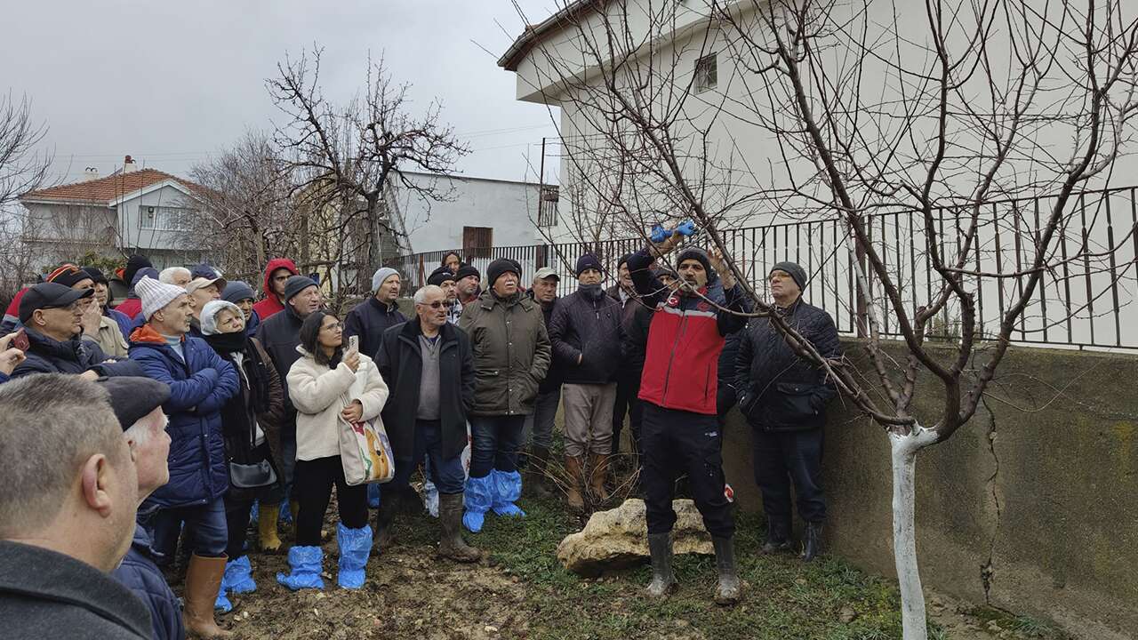 Uşak Ortaköy’de üreticilere uygulamalı budama eğitimi verildi