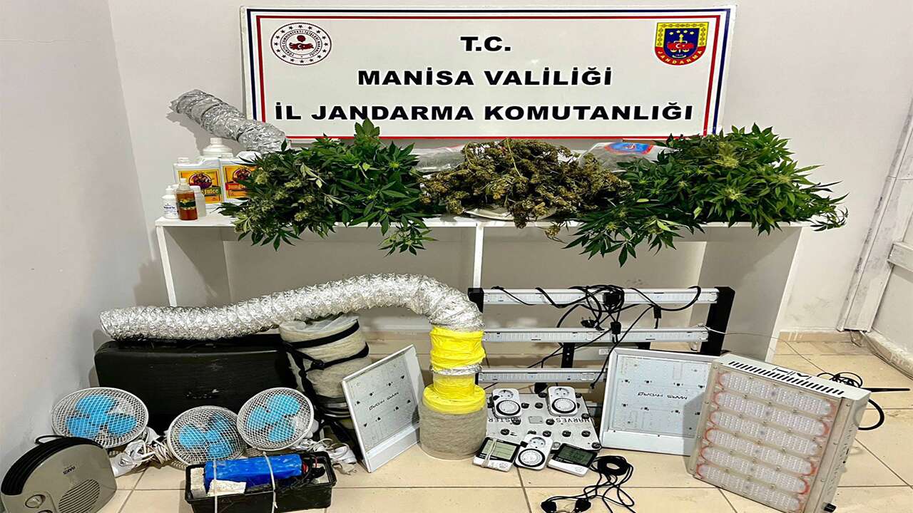 Manisa'da evde sera kurarak kenevir yetiştiren 2 şüpheli yakalandı