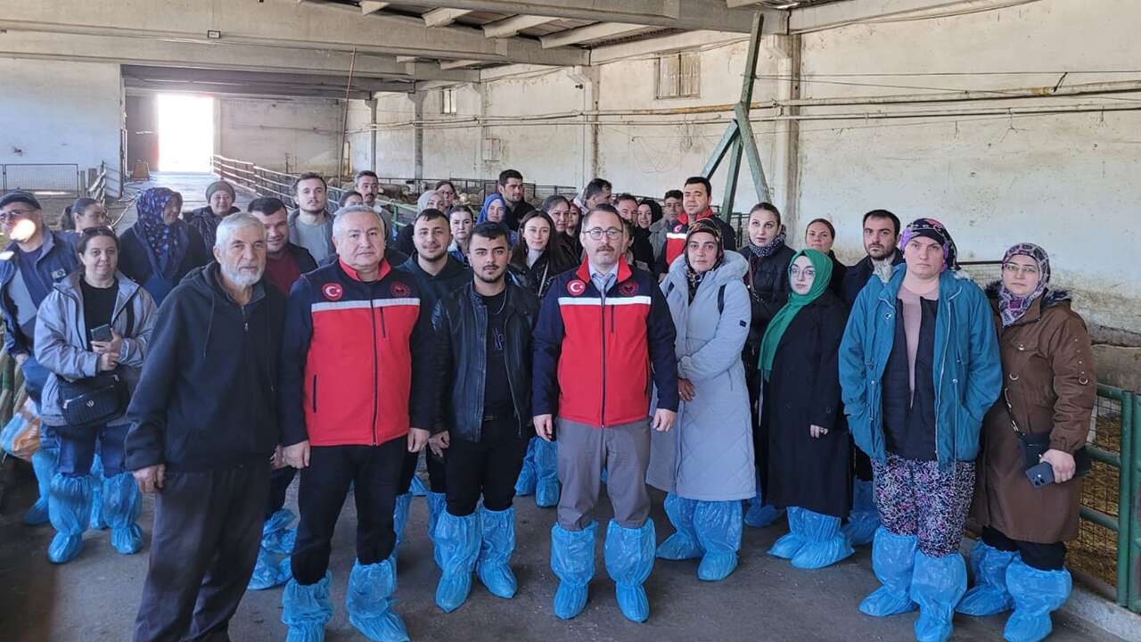 Sivaslı'da hayvan yetiştiricilerine "Sürü Yönetimi" eğitimi verildi