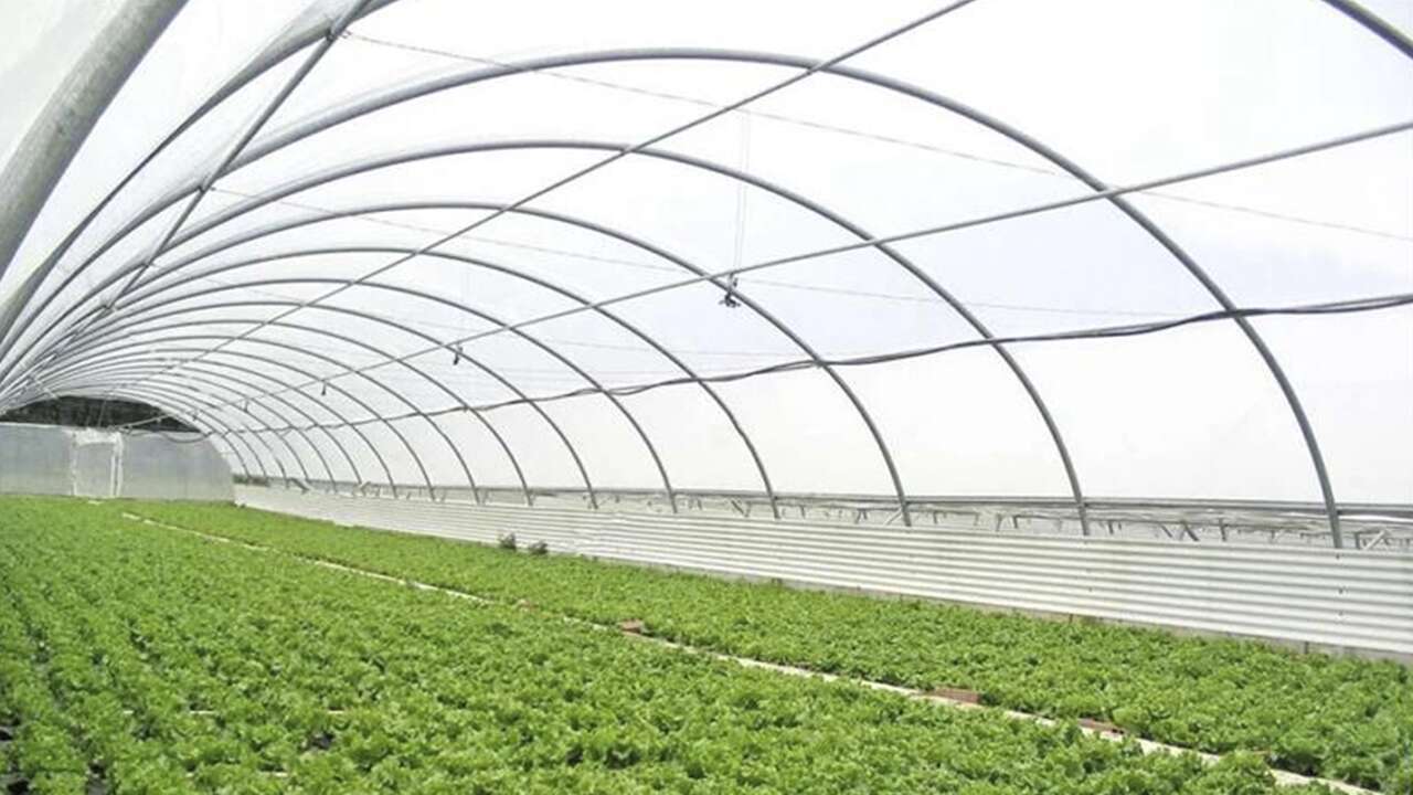 Uşak’ta Çiftçilere %50 Hibeli Sera Naylonu Desteği