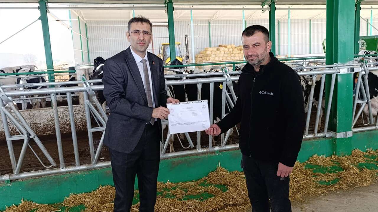 Uşak'ta hastalıktan ari işletme sayısı artıyor