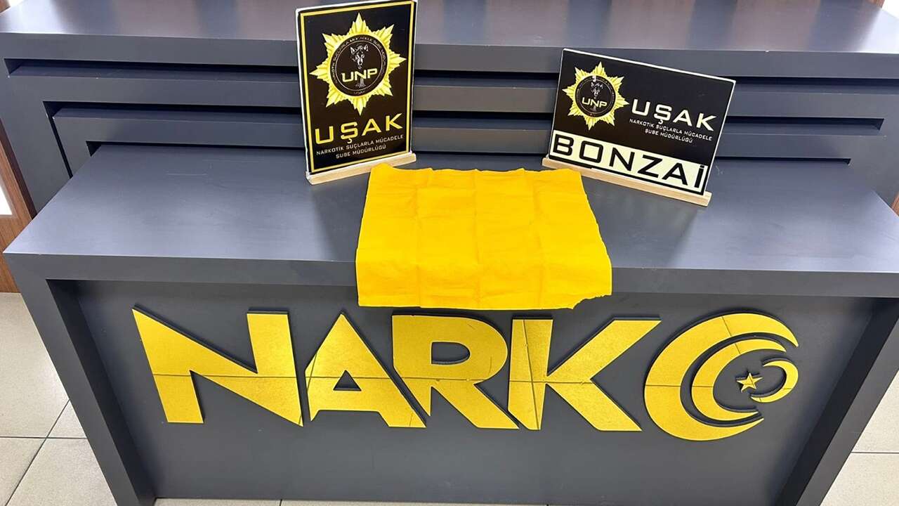 Uşak'ta 4 Bin 797 kullanımlık bonzai yakalandı