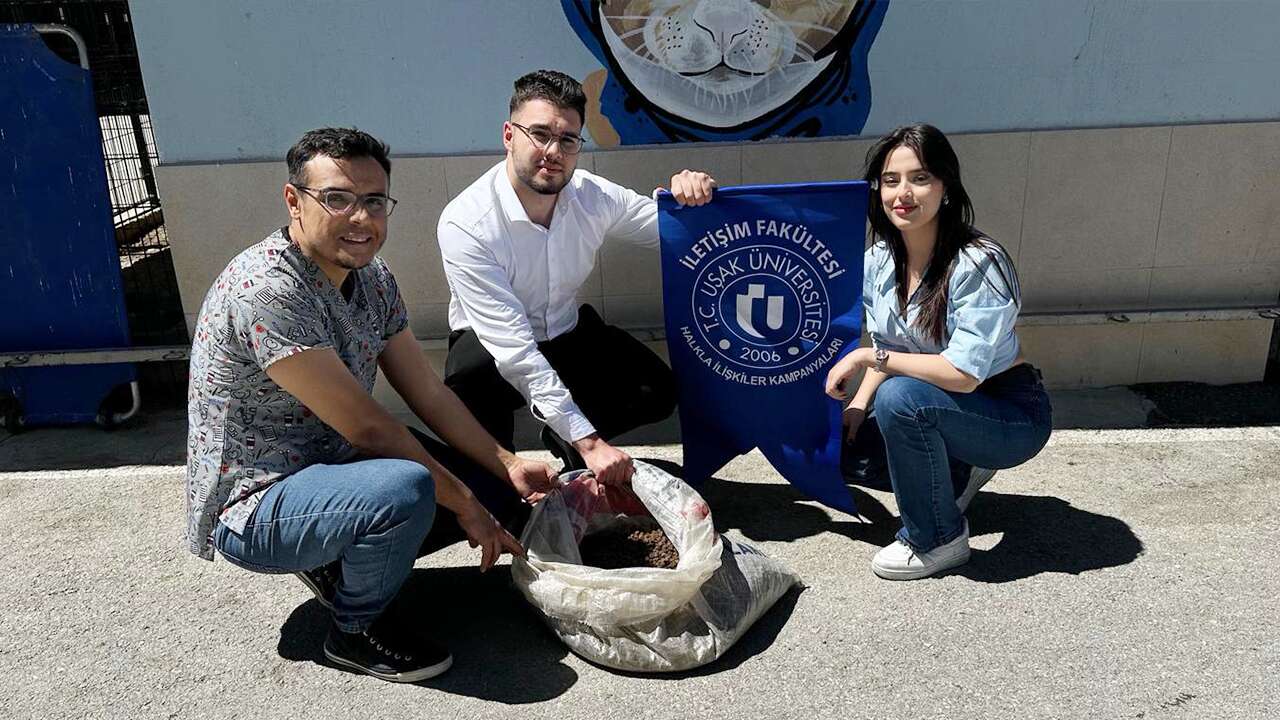 Sokaktaki dostlarımıza bilimsel dokunuş: "artık değil kurtarılan" sahada!